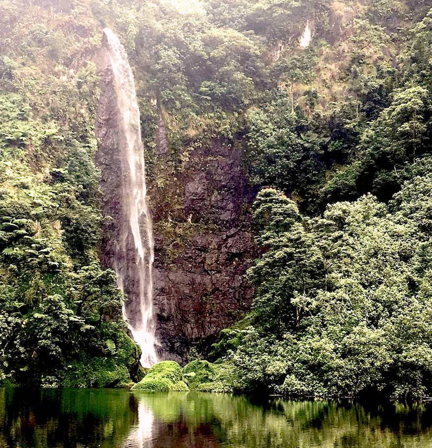 Bounty Lodge Tahiti Arue  Luaran gambar